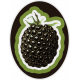 Blackberry Sticker