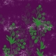 Paper-Green Plant on Purple