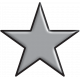 Gray Star with Black Border