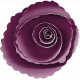 Maroon Rose Flower