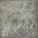 Dried Flowers in the Dark- Greens 2