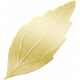 Gold Foil Leaf 01