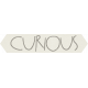 Furry Friends- Kitty- Curious Word Art