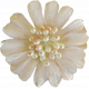 Jane- Cream Flower With Pearls
