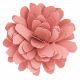 Cozy Kitchen- Flower 6 