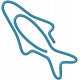 Fish paperclip