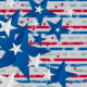 USA Background 1