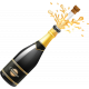 Champagne Bottle Ann Graphic