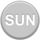 Grey Pleather Weekday- Sun