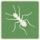 Picnic Day_Pictogram Chip_Green_Ant