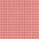 Picnic Day_Paper_Plaid_Red