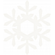 Winter Wonderland Snow- Vellum Snowflake 2