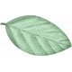 Love At First Sight - Leaf