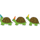 Party Tortoises