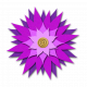 Flower- Purple fabric