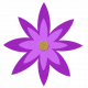 Flower – March 2021 dark purple