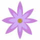 Flower – March 2021 light purple