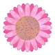 Sunflower in pink