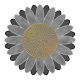 Sunflower in gray