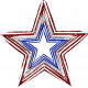 Patriotic Glitter Star