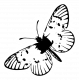 Shabby Vintage #3 Butterfly Sticker 03