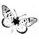 Shabby Vintage #3 Butterfly Sticker 05