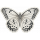 Collected Curiosities #3- Butterfly 01 Vellum