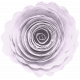 CC#13 Flower 02