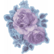 CC#13 Vellum Floral 03