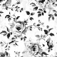 CC7 Overlay 10