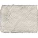Collected Curiosities #14 Vellum 01
