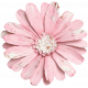 Collected Curiosities #14 Flower 08