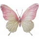 Collected Curiosities #14 Glitter Butterfly
