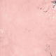 Panditas Paper 5
