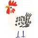 Chicken Illustration 8