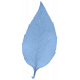 Pure Sweetness - blue leaf 01