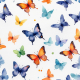 Colorful butterfly Paper