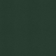 Wildflower Solid Paper Green