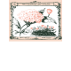 Wildflower Pocket Card 05 3x4