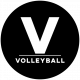 Sports Print Circle Word Volleyball