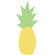 Pineapple Illustration