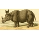 Ephemera African Animal 16