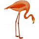 Summer Lovin MiniKit ephemera flamingo 2