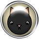 BYB Aminals- Cat Flair 5