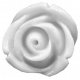 Day of Thanks Elements - White Flower