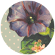 Seriously Floral #2 Elements Kit- Circle 8