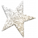 The Good Life: March 2020 Elements Kit- glitter star 4