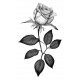 Rose Sticker 13