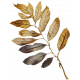 Formal Dried Leaves 2