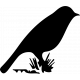 Bird 233 Graphic